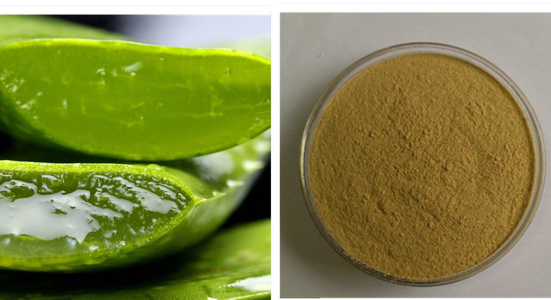 aloe powder