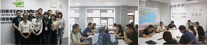 company company