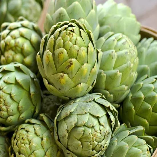 Artichoke