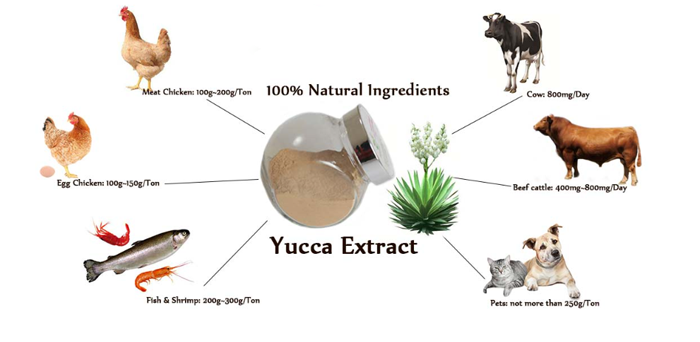 Yucca dosage