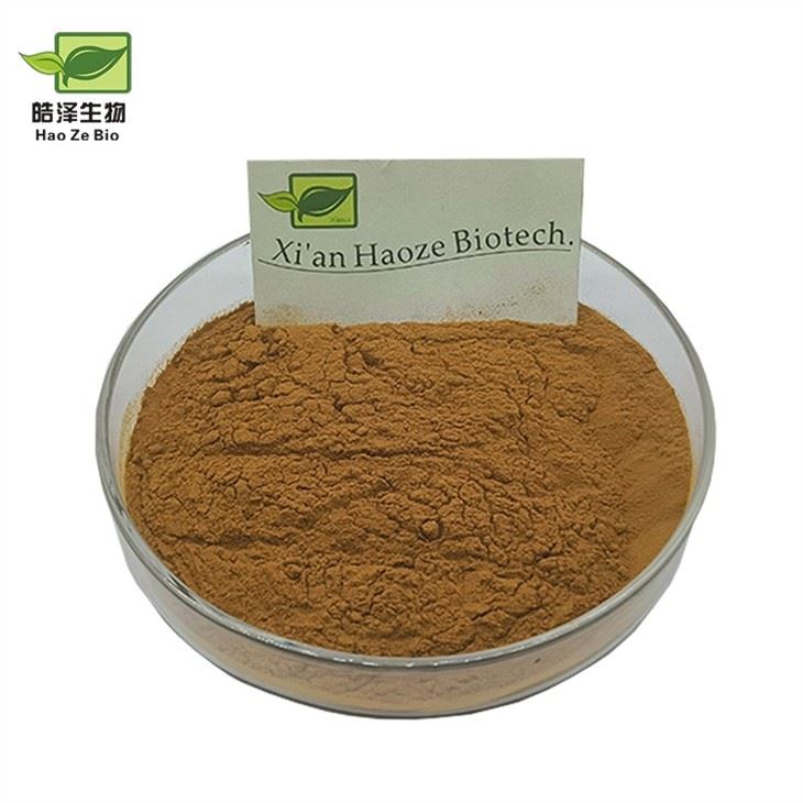 Dendrobium Extract