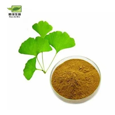 Ginkgo Biloba Özü Tozu