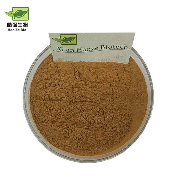 Bacopa Monnieri Extract