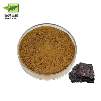 Shilajit ekstrakt tozu